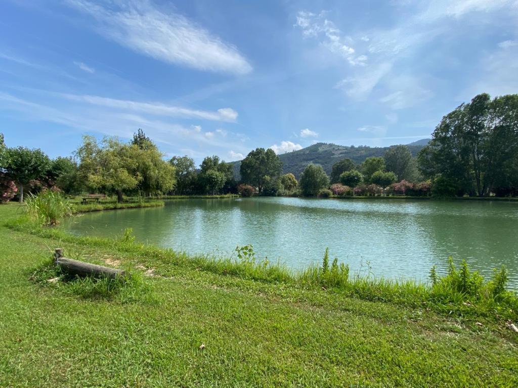 Domaine Du De La Vallee Holiday home La Roquette-sur-Siagne